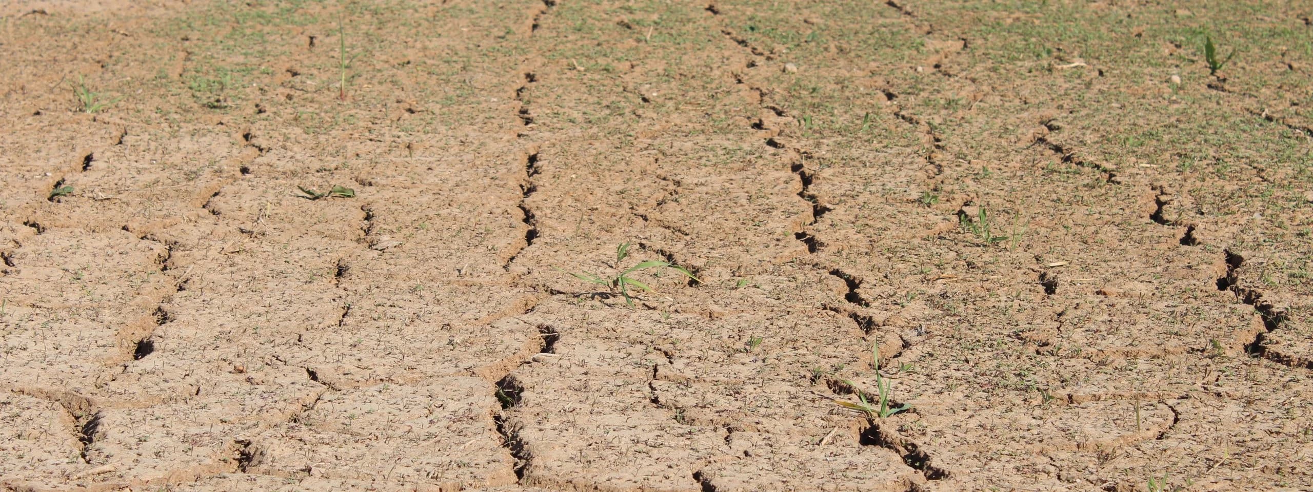 Adapt farm production to shifting rainfall and temperatures