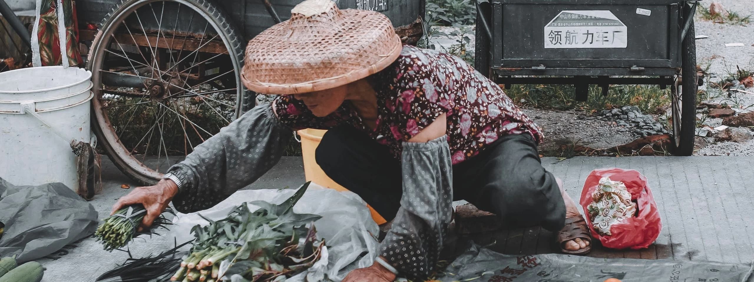 Connect remote communities to jobs and education