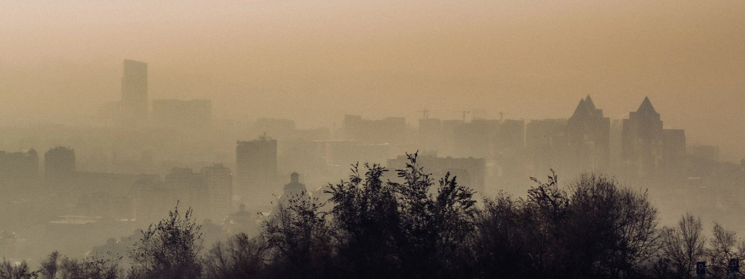 Locate where urban air pollution exposure peaks
