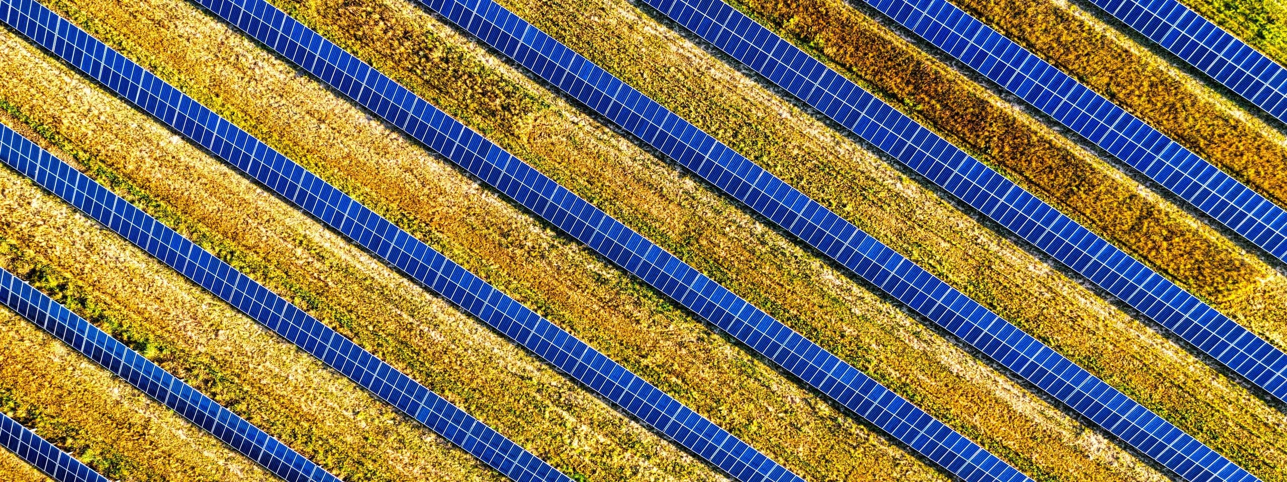 Stop renewable electricity going unused on the grid