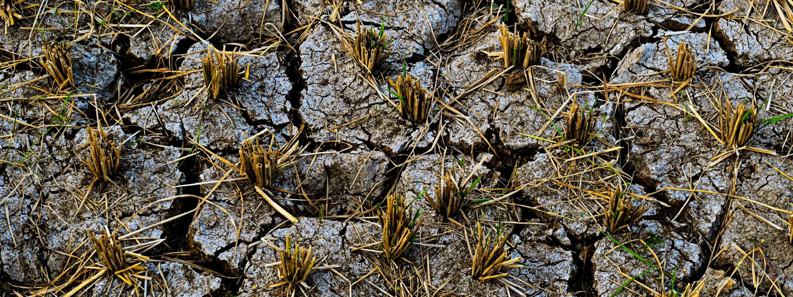 Target irrigation to where crops actually need water