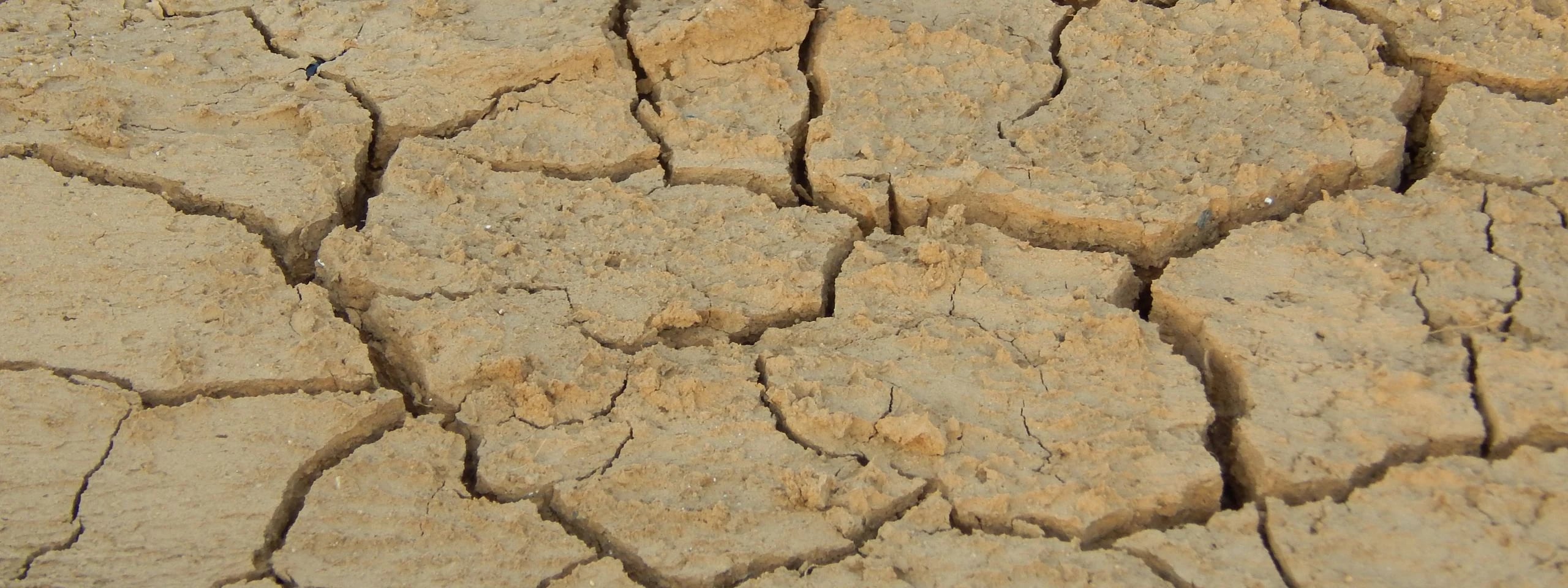 Align irrigation schedules with soil and weather data
