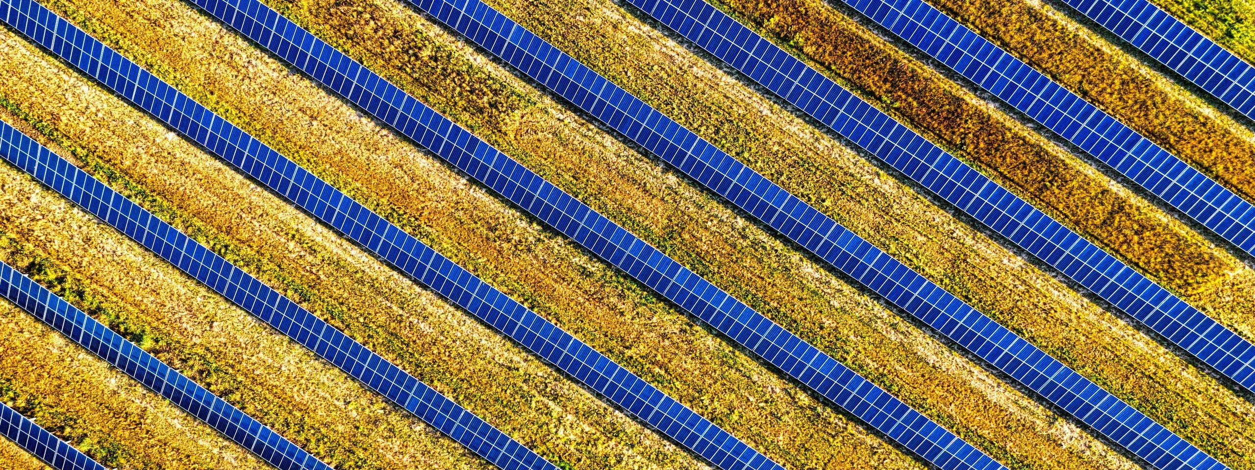 Stop renewable electricity going unused on the grid